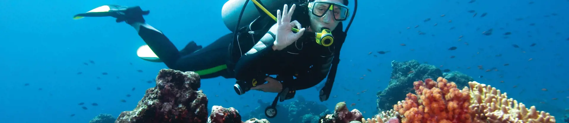 Scuba diver on reef